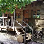 Le Coeur De La Foret *