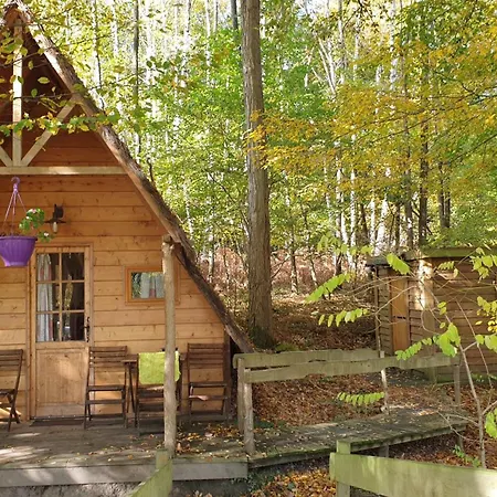 Le Coeur De La Foret B&B