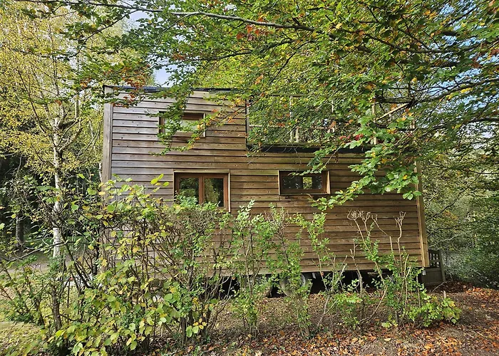 Le Coeur De La Foret * Pierrefonds