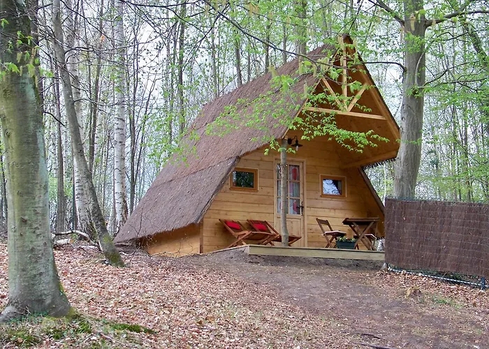 Le Coeur De La Foret * Pierrefonds