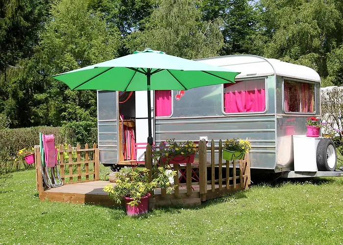 Le Coeur De La Foret