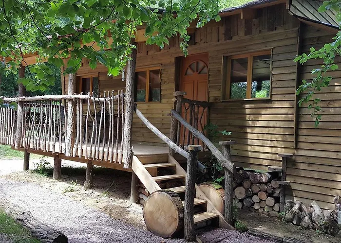 Le Coeur De La Foret *